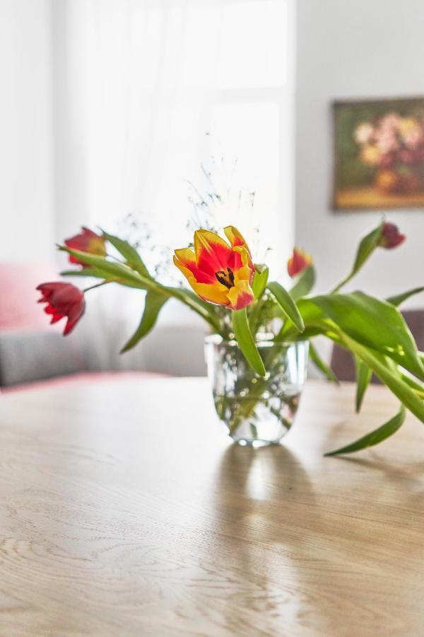 New And Lovely Apartament In Vilnius City Centre Exterior foto